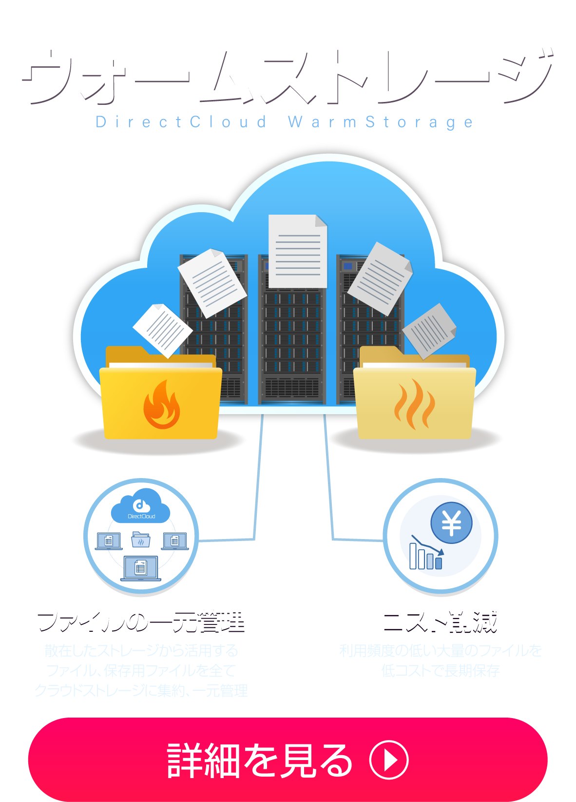 NASのクラウド移行で一元管理とコスト削減を実現 DirectCloud【ウォームストレージ】