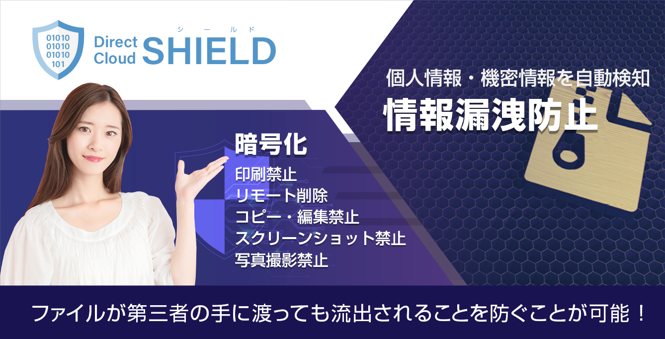 DirectCloud-SHIELD IRM