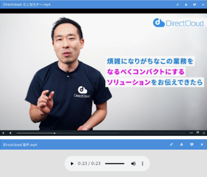 動画や音声ファイルも最大1GBプレビューできる